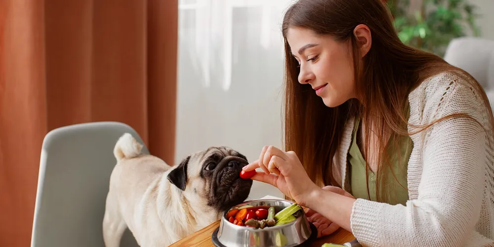 Os Melhores Grupos de WhatsApp de Receitas Pets: Guia Completo e Onde Entrar