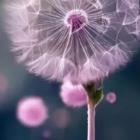 Grupo de Whatsapp: Terapia Seja Leve