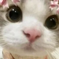 Grupo de WhatsApp: Grupo com promoções