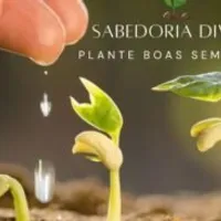 Grupo de Whatsapp: Sabedoria Divina