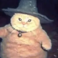 Grupo de Whatsapp: Grimorium Æternum