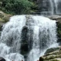 Grupo de Whatsapp: Ansiedade depressão e solidão