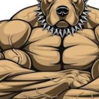 Grupo de WhatsApp: ACADEMIA ONLINE PITBULL