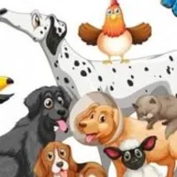 Grupo de Whatsapp: MUNDO DOS PETS