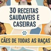 Grupo de WhatsApp: 30 Receitas saudáveis e caseiras