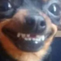 Grupo de Whatsapp: Mãe, tô no WhatsApp