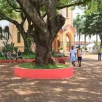 Grupo de Whatsapp: ️ Barrinha Bate-papo