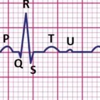 Grupo de Whatsapp: Trabalho de Clínica geral