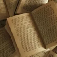 Grupo de Whatsapp: ┆⏤͟͟͞͞ Seu paraíso literário