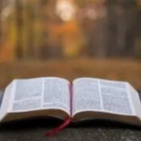 Grupo de Whatsapp: Texto Diario