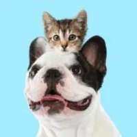 Grupo de Whatsapp: A SAÚDE DO SEU PET É MAIS QUE TUDO!