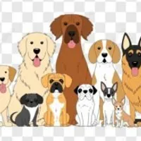 Grupo de Whatsapp: Salvador OLX compras e venda de animais