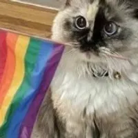 Grupo de Whatsapp: LGBT COVEN