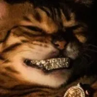 Grupo de Whatsapp: GROVE STreet