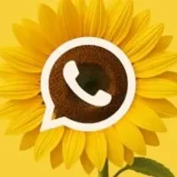 Grupo de WhatsApp: EQUIPE EP RENDA EXTRA