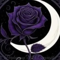 Grupo de Whatsapp: Rosa in Caos – Recepção