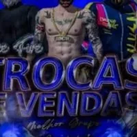 Grupo de WhatsApp: Trocas e Vendas