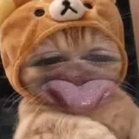 Grupo de WhatsApp: ༒ＦｉＧＵＲｉＮＨＡ༒