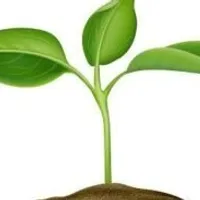 Grupo de Whatsapp: Saúde e Alegria