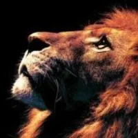 Grupo de Whatsapp: Desenvolvimento pessoal e Cristão