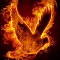 Grupo de Whatsapp: ️Fogo do espírito santo