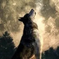 Grupo de Whatsapp: Alcateia