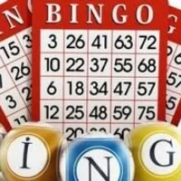 Grupo de Whatsapp: Bingo online 🪙