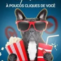 Grupo de Whatsapp: Filmes e Series Cinema
