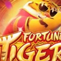 Grupo de Whatsapp: Plataformas com Bonus de cadastro…