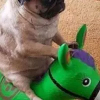 Grupo de Whatsapp: 𝙧𝙚𝙨𝙚𝙣𝙝𝙖 𝙙𝙤 𝙘𝙖𝙥𝙨