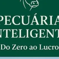 Grupo de WhatsApp: Pecuária Inteligente