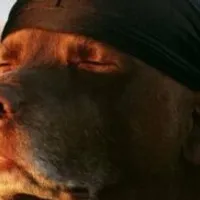 Grupo de Whatsapp: Sticker Verse