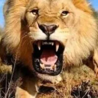 Grupo de Whatsapp: Grupo rifa do Sandro