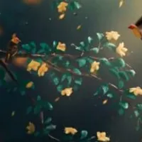 Grupo de Whatsapp: Desabafo Emocional