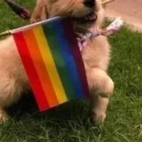 Grupo de Whatsapp: 𝑳𝑮𝑩𝑻 𝒅𝒆 𝑨𝒍𝒂𝒈𝒐𝒂𝒔️