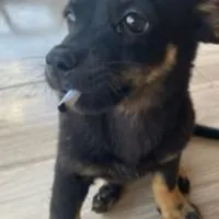 Grupo de Whatsapp: Os noia