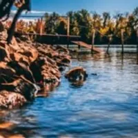 Grupo de Whatsapp: GRUPO OFICIAL NA DESCRIÇÃO