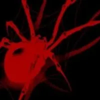 Grupo de Whatsapp: ₊˚.⋆️𝘙𝘦𝘱𝘰𝘶𝘴𝘰 𝘓𝘶𝘯𝘢𝘳⋆⁺₊