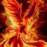 Grupo de Whatsapp: Onlycryptos