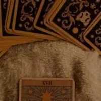 Tᴀʀᴏᴛ· · ─ ·𖥸· ─ · ·