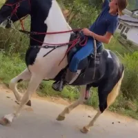 Grupo de Telegram: Horse +18 🔥🐴😈