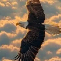 Grupo de Whatsapp: A Mensagem (Início aos estudos 25/05)