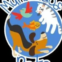 Grupo de WhatsApp: Mundo dos pets