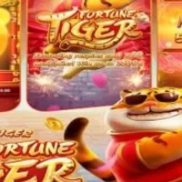 Grupo de Whatsapp: Rei das plataformas