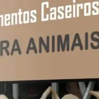 Grupo de WhatsApp: Amor em Cada tigela