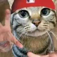 Grupo de Whatsapp: AMIZADES QUE PODEM SER COLORIDAS