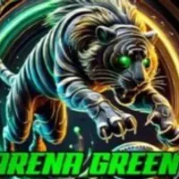 Grupo de WhatsApp: ARENA GREEN PALPITES VIP