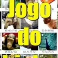 Grupo de Whatsapp: JOGO DO BICHO