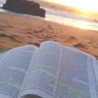 Grupo de WhatsApp: Frases diária ‍ @ogio.1