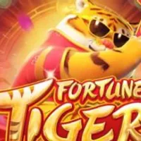 Grupo de Whatsapp: Plataforma pagante